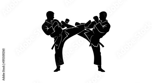 Karate Fighters Silhouette Sparring Action