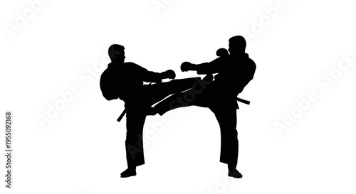 Silhouettes of Two Karate Fighters Sparring and Kicking
