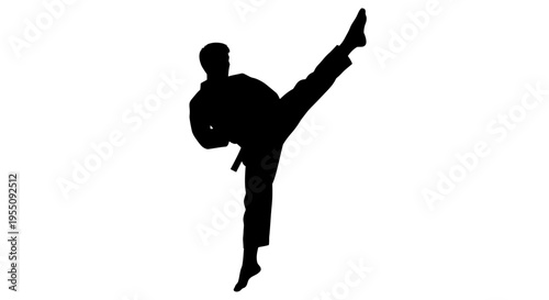 Martial Arts Fighter Performing High Kick Silhouette