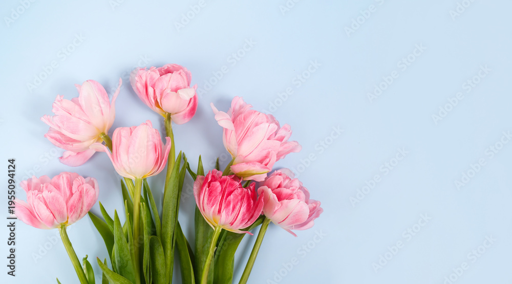 Obraz premium Bouquet of Pink Tulips on Light Blue Background