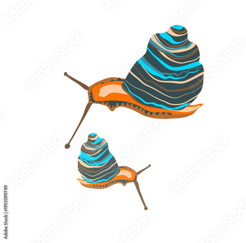 Snail  Colorful vector illustration of two decorative snails with ornate striped shells in blue, teal, brown, and beige tones on vibrant orange bodies. 