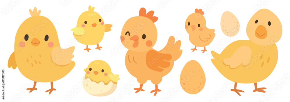 Fototapeta premium Vector illustration isolated for baby chicken cartoon and animal cute design. Easter nature farm for bird spring vector and character background egg. Vector chick set for baby yellow illustration