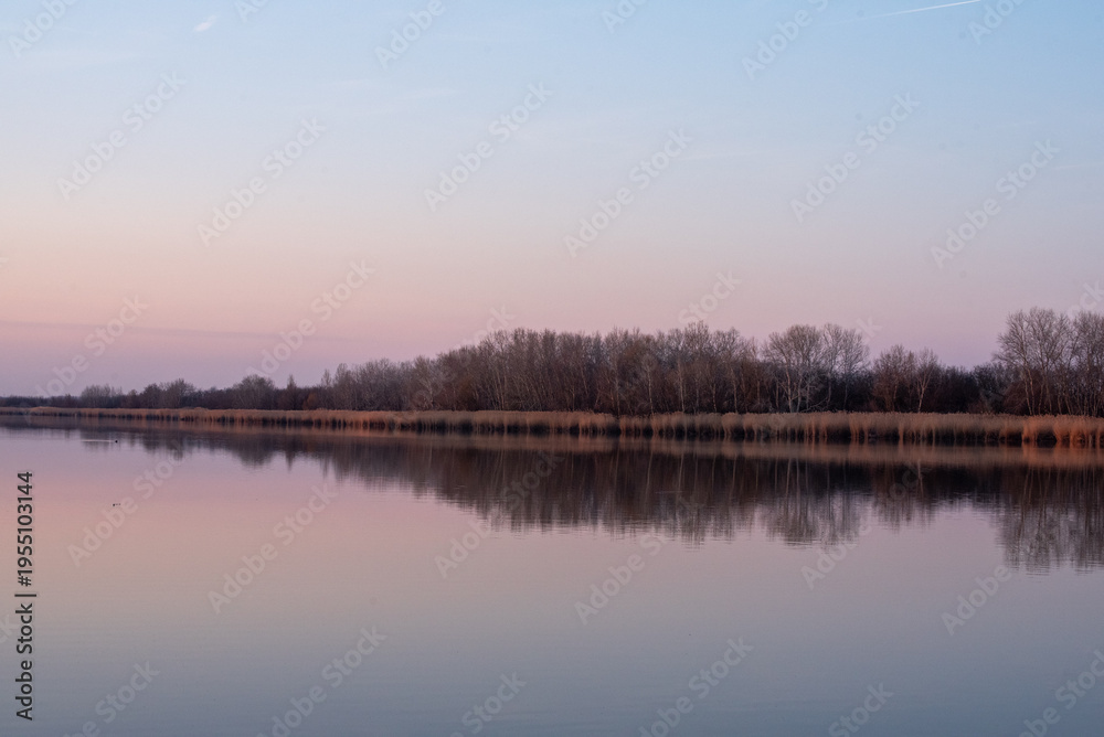 Fototapeta premium Reed reflection on calm water after sunset