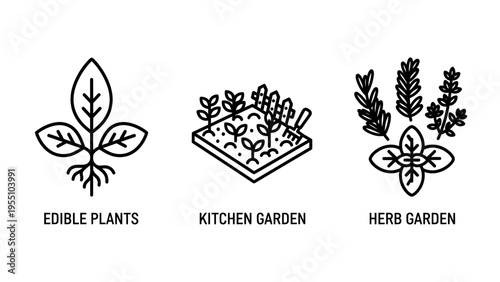 Outline icons illustrating edible plants, kitchen gardens, and herb gardens for organic farming, healthy eating, and home cultivation