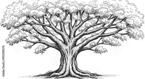 Detailed Hand Drawn Illustration of a Majestic Ancient Oak Tree