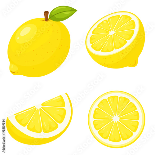 Set of fresh lemon fruit vector illustrations: whole, half, slice and wedge isolated on white background