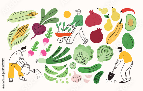 Farm agricultural workers or local farmers working in the garden, field. Seasonal fresh vegetables: cabbage, zucchini, cucumber, corn, beet. Hand drawn simple ink doodle illustration. Farming.