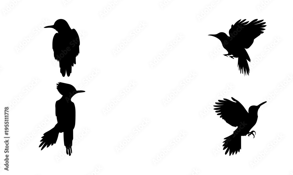 Fototapeta premium Woodpecker silhouettes set vector illustration (black And white) 02