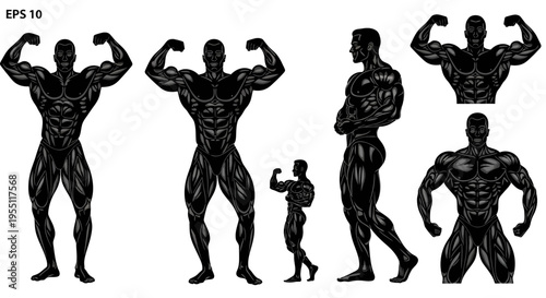 Set of Muscular Bodybuilder Silhouettes in Various Poses