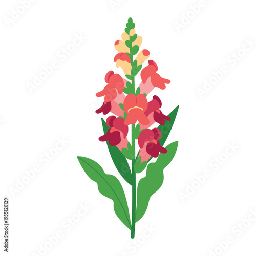 Red rose isolated on white background with leaves and petals blooming naturally