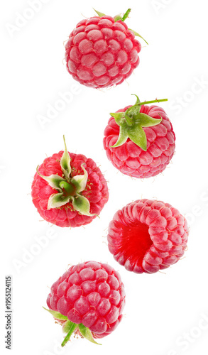 Raspberry collection isolated on white background