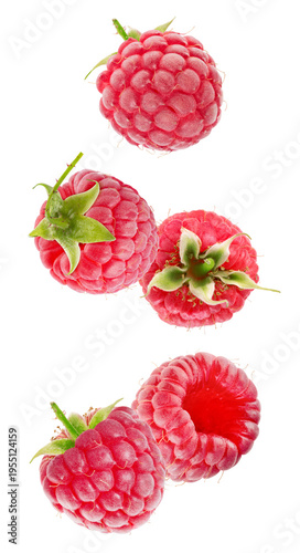 Raspberry collection isolated on white background