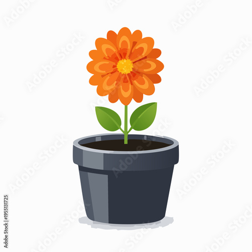 Orange Blume