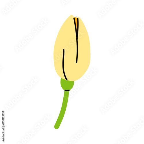 Vector yellow daffodil flower bud on green stem. Cute closed narcissus blossom illustration for spring floral design, logo, sticker, wedding invitation, greeting card and botanical branding.