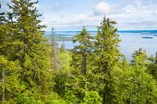 Koli National Park in the m...
