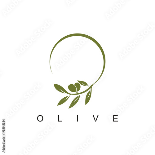 olive and co typography logo design template vector