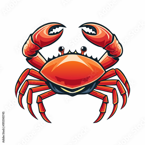 Vibrant red crab illustration with prominent claws on white background