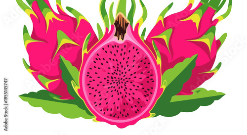 Vibrant pink dragon fruit whole and half illustration with leaves