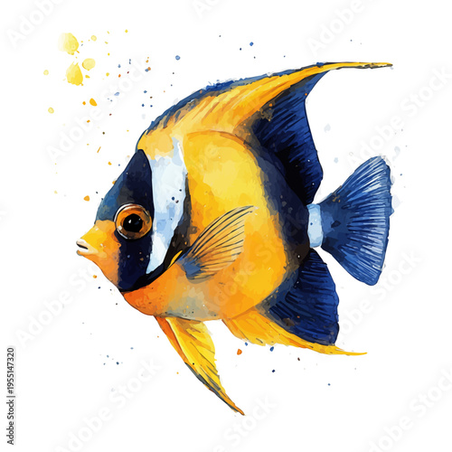 Angelfish, elegant watercolor vector painting with refined details, isolated on a white background.
