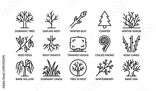 Dormant winter trees and plants icons: conifer, winterberry, bare oak, sapling rest, hedge