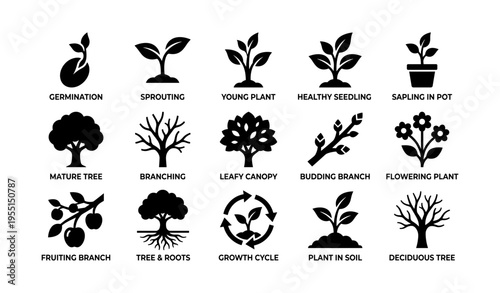 Icon set illustrating stages of plant growth and tree development