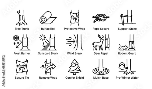 Tree protection techniques illustrated in simple line art icons