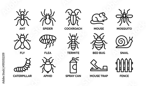 Vector icons of common pests: insects, rodents, and pest control tools