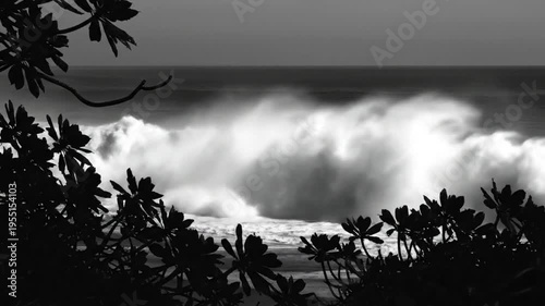 Dramatic black and white ocean wave crashing with silhouetted foliage in the foreground against a gray sky