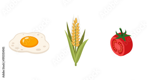 Breakfast ingredients collection: eggs, wheat, tomatoes in flat design