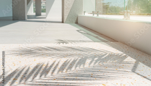 Contemporary outdoor space bathed in golden sunlight, showcasing intricate palm tree shadows dancing across a stylish, light-toned floor