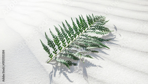 A single fresh green fern leaf provides a striking contrast against the serene, rippled white sand, illustrating purity in nature