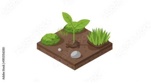 Isometric garden patch with young plant and grass elements on soil