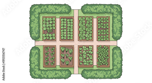 Community garden top view with green vegetables and pathways in a
