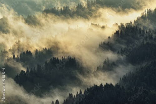 silhouettes of morning mountains. foggy morning in the Carpathians. Mountain landscape