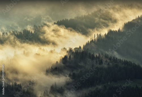 silhouettes of morning mountains. foggy morning in the Carpathians. Mountain landscape