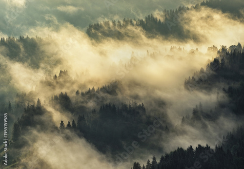 silhouettes of morning mountains. foggy morning in the Carpathians. Mountain landscape