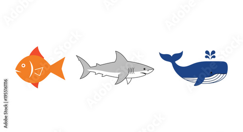 Colorful marine animals in flat design style