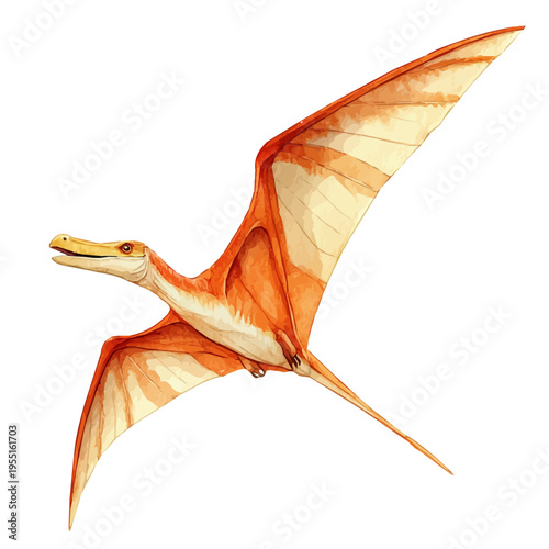 watercolor draw of Pteranodon, isolated on a white background.