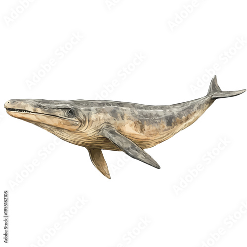 Plesiosaurus, serene watercolor vector artwork with smooth washes of color and refined textures, isolated on a white background.