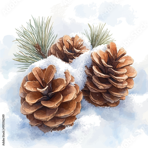 Pine Cones On Snow, playful watercolor vector painting with subtle shadowing and soft gradients, isolated on a white background.