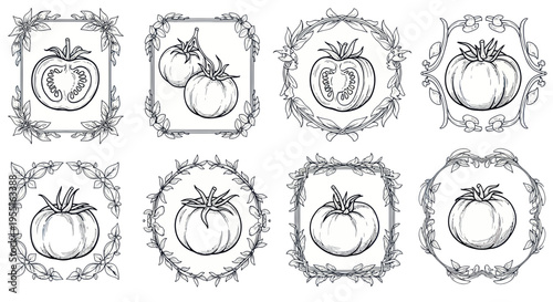 Hand-Drawn Tomato Illustrations with Decorative Leaf Borders