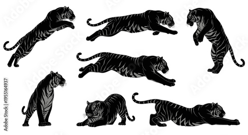 Set of Stylized Black Tigers in Various Poses, Dynamic Animal Illustrations