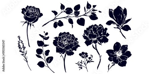 Set of various flowers and branch in silhouette or linocut drawing style. Luxury floral collection