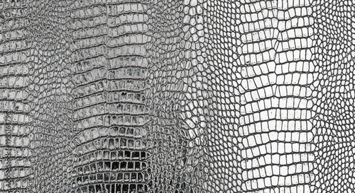 Silver Crocodile Skin Texture Background