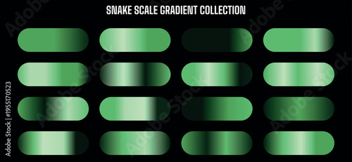 Snake Scale Gradient Collection Vector: Set of 16 Green and Dark Green Color Swatches for Design