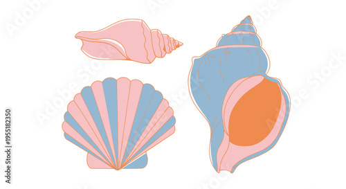 Colorful seashells on white background.
