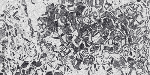 Abstract monochrome textured background with irregular geometric shapes and granular noise effect creating a complex organic pattern for graphic design and digital art