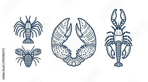 Outlined set of four crustaceans, including crabs, and lobster, drawn in a nautical style