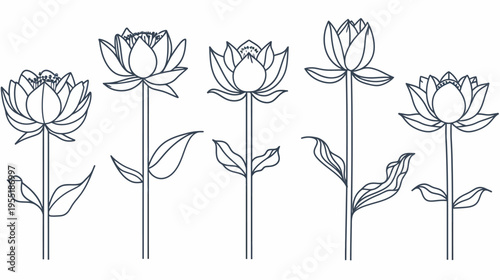 Line art of five lotus flowers with stems and leaves on a white background
