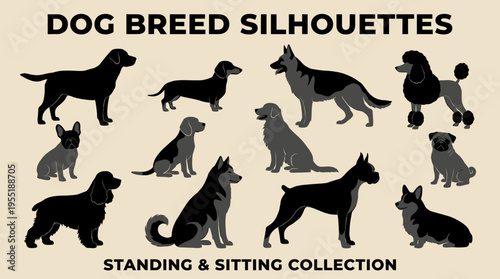 Diverse vector collection of popular dog breed silhouettes, showcasing various canine companions in standing and sitting poses for graphic design projects and animal-themed content